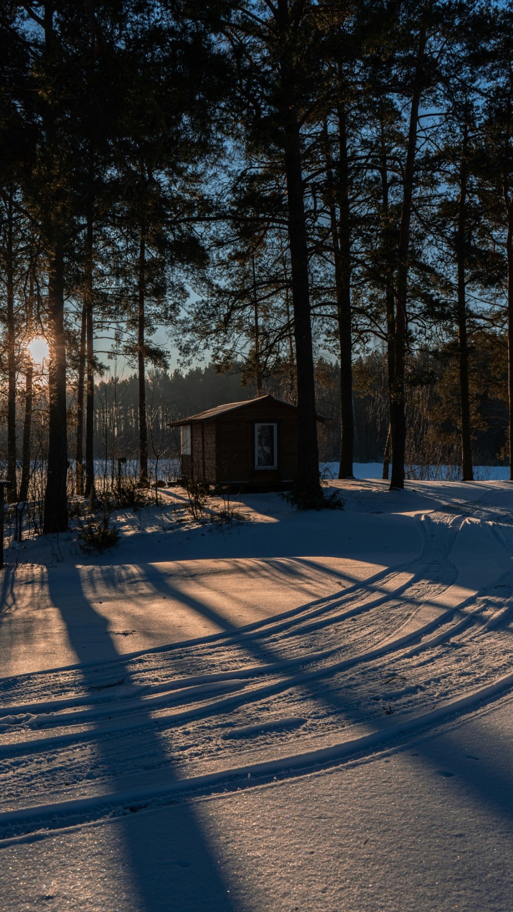 Look who’s alive…