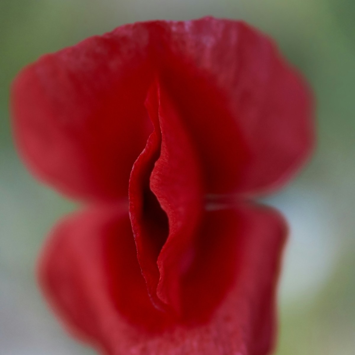 Let’s not talk about&nbsp;sex…